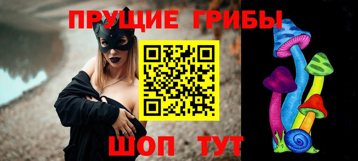 цена наркотик  Вход с VPN  Камень-на-Оби  Галлюциногенные грибы MAGIC MUSHROOMS 